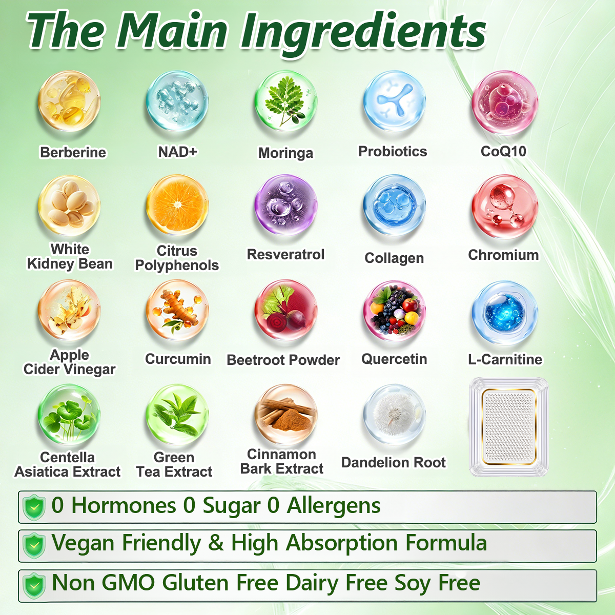 DR.HONOR® Slimming Patch | Daily · 7-Day Visible Results | Berberine + Moringa ✅ Body & Metabolism Support